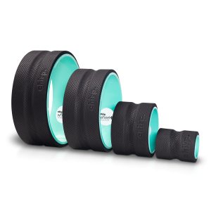 Chirp Wheel+ 4-Pack